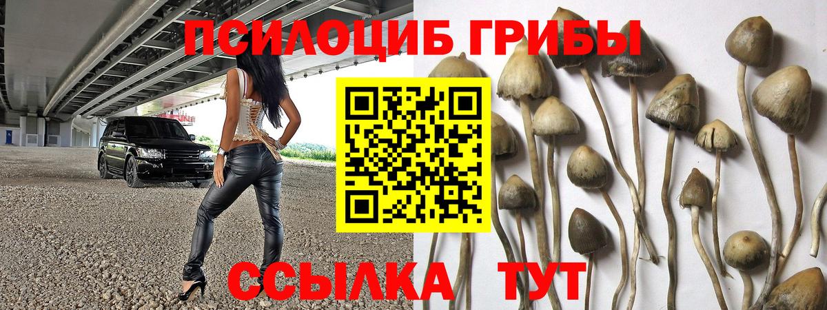 Зима  ЭКСТАЗИ  ГАШ  Кетамин  Мефедрон   Alpha PVP СК кристаллы  ГАШИШ  КОКАИН  Вход с VPN  МАРИХУАНА 