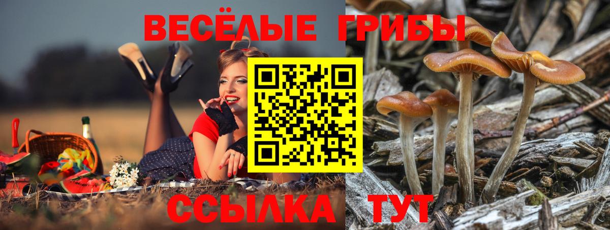 Галлюциногенные грибы мухоморы  Вход с VPN  Псилоцибиновые грибы GOLDEN TEACHER  Зима 