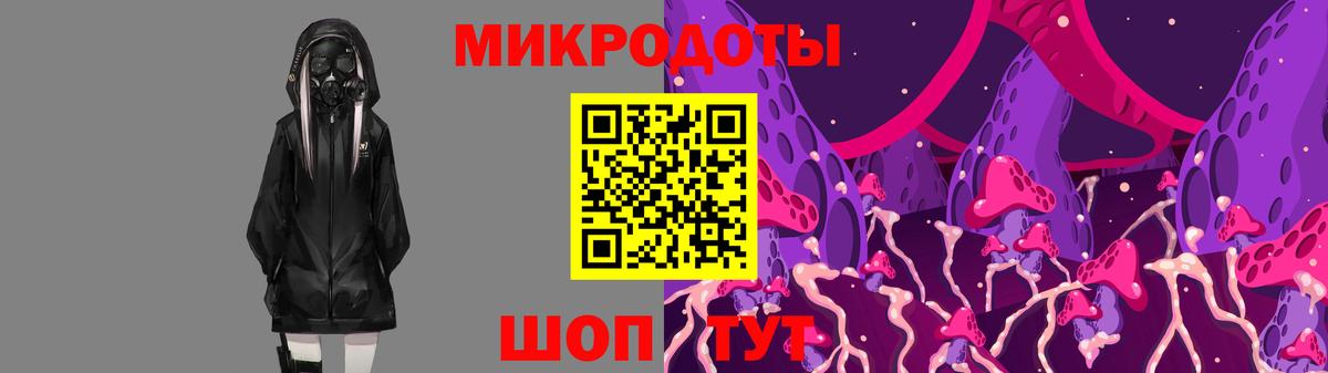 Псилоцибиновые грибы Psilocybine cubensis Зима